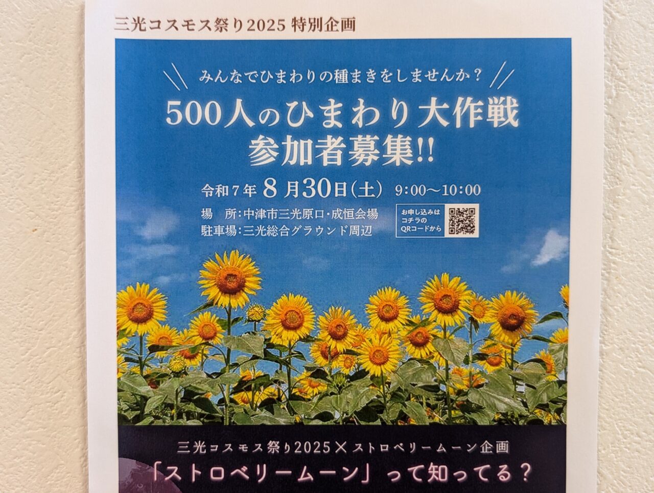 ポスター