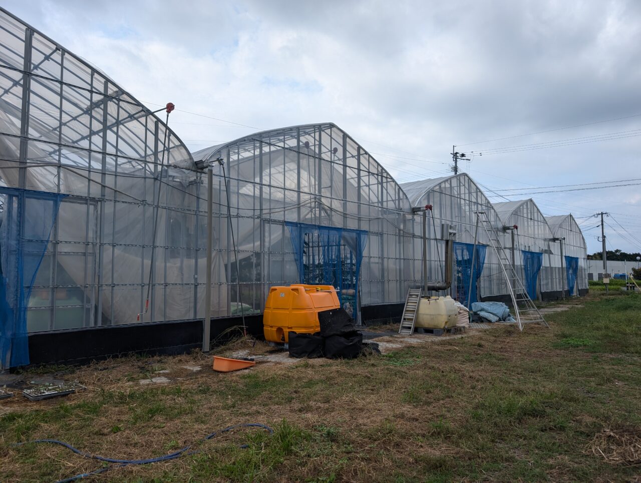 ビニールハウス